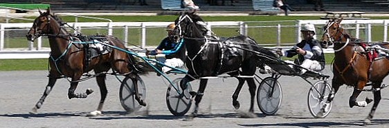 Lady Godiva has the last say to wear down Classiebee in their Ashburton 2YO qualifier. classiebee 2nd